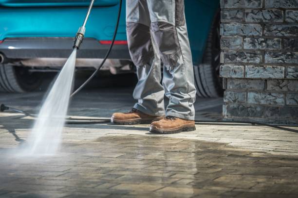 Best House Exterior Washing  in Bellerose Terrace, NY