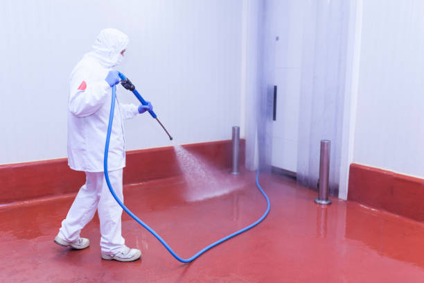 Best Dumpster Area Cleaning  in Bellerose Terrace, NY
