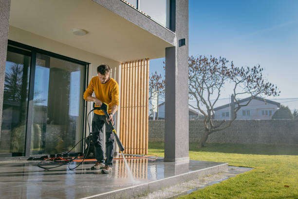 Best Spring Cleaning  in Bellerose Terrace, NY