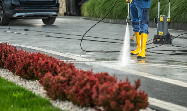 Best Pool Deck Cleaning  in Bellerose Terrace, NY